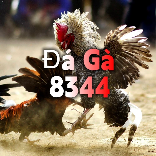 bonus - Game phiêu lưu